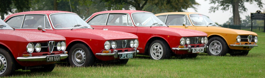Cotswold Alfa Day 2010